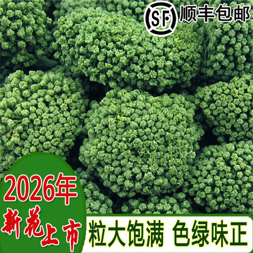 2026年正品特级新云南文山三七花