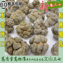 18个头500克春三七田七免费磨37粉 三七云南文山特级正品