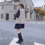 【档口现货2023秋马甲连衣裙套装C162-套P150-控218裙P100-控158，女装套装/套裙，浙宝256