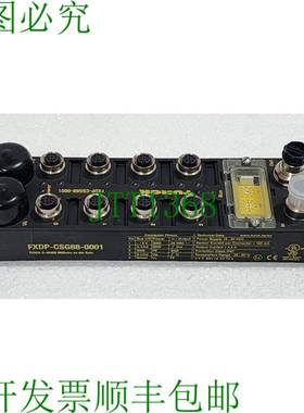 图尔克 6825405 FXDP-CSG88-0001 Profibus-Dp 输入/电源站 2