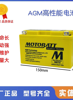 雅马哈Yamaha force 2.0 augur155 RSZ100卡丁车摩托车电瓶蓄电池