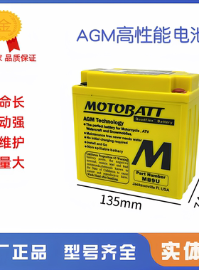 MG9-4B-C春风250NK 250SR FUN 250CLC/CLX 猛狮电瓶12V9AH蓄电池