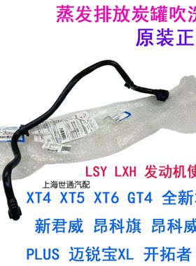 废气管碳罐电磁阀蒸发排放吹洗管