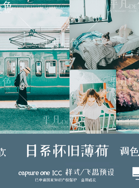 captureone样式日系怀旧薄荷绿旅拍人像调色滤镜c1飞思预设CO851