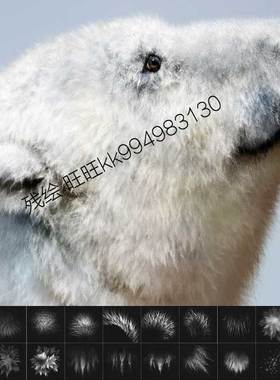 Clip Studio Paint画笔 20款笔触皮毛毛发纹理绒毛材质笔刷CSP28
