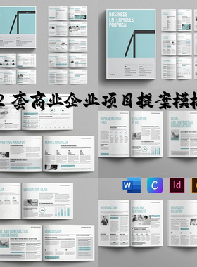 Indesign/AI/Word/Canva模板2套A4 商业企业项目提案简介营销画册