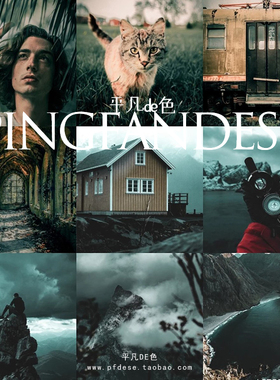 captureone样式 森系墨绿色风景人像旅拍调色滤镜c1飞思预设CO583