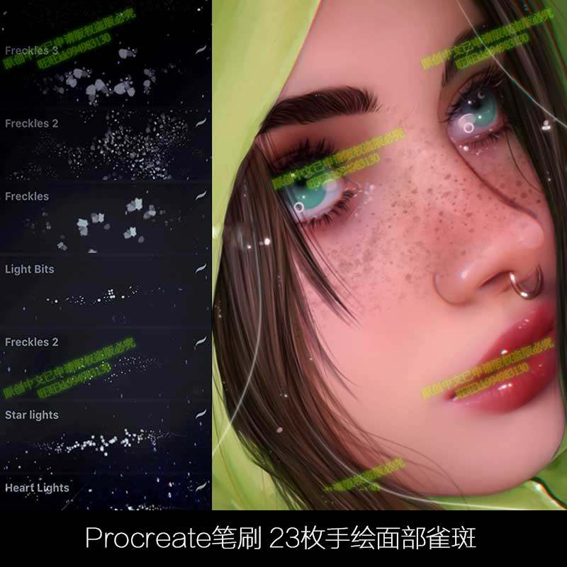 procreate笔刷 23款手绘人物面部肖像雀斑ipad绘画大师级画板264