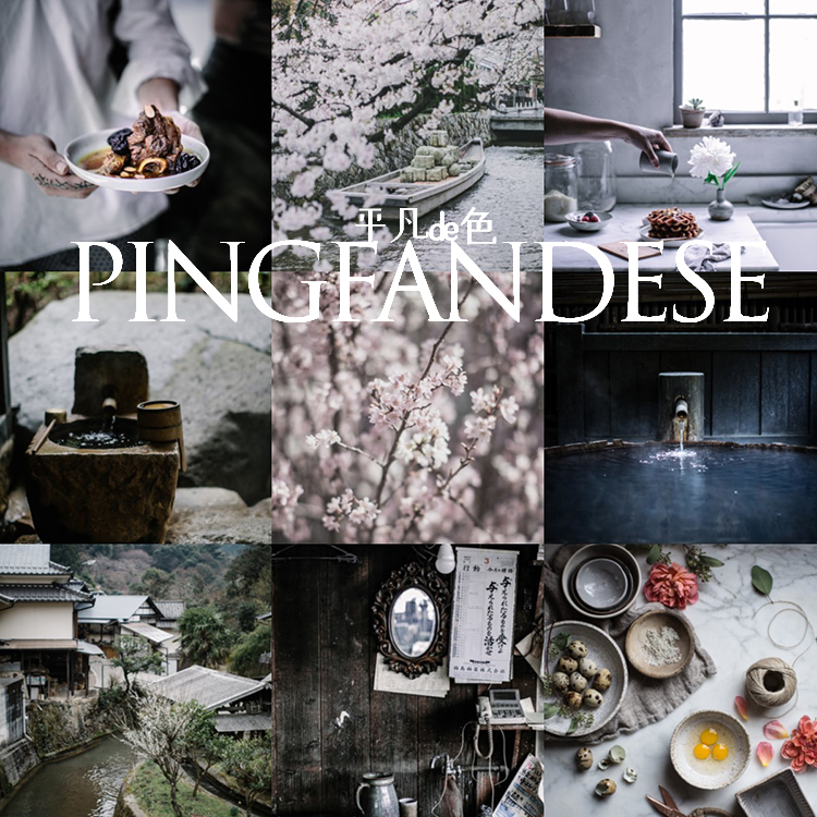 capture one样式 日系森系旅行风光胶片调色滤镜 c1飞思预设CO632