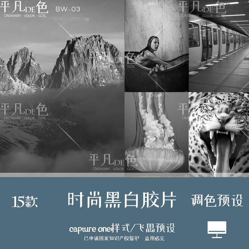 capture one样式 时尚黑白胶片风光人像调色滤镜 C1飞思预设CO123