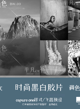 capture one样式 时尚黑白胶片风光人像调色滤镜 C1飞思预设CO123