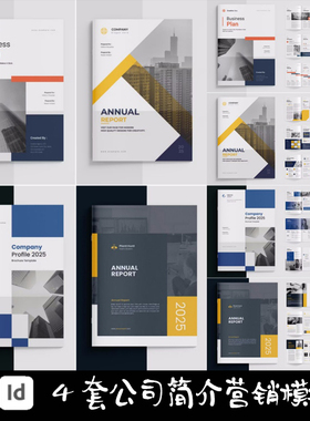 Indesign/Word模板6套A4公司简介机构品牌营销促销VI提案ID画手册
