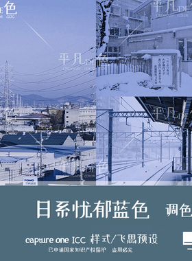 capture one样式 日系小清新忧郁蓝色调调色滤镜C1飞思预设CO862
