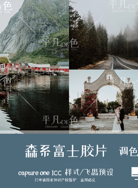 captureone样式森系复古富士胶片婚礼风光调色滤镜飞思预设CO896
