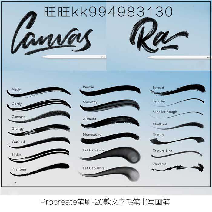 Procreate笔刷 24款书法手写文字书写画笔iPad手写大师级画板282图片