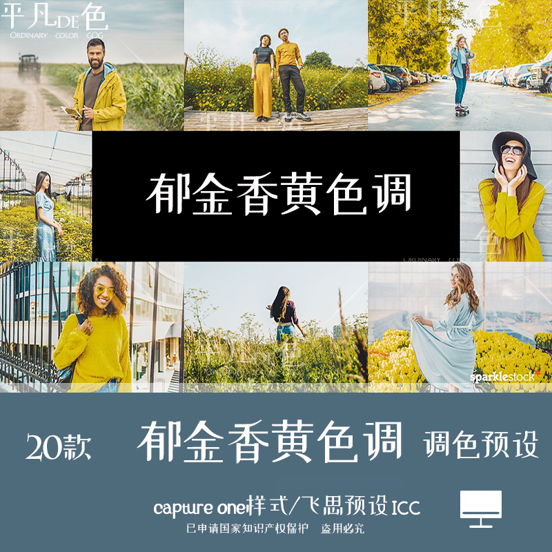 capture one样式 郁金香黄色调人像风光调色滤镜 C1飞思预设CO764