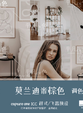 captureone样式莫兰迪米棕人像静物调色摄影滤镜C1飞思预设CO928