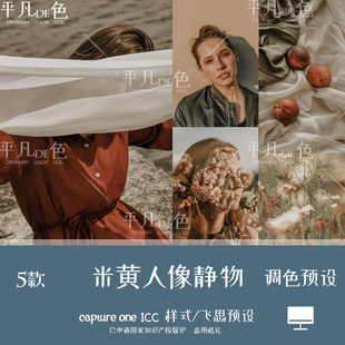 capture one样式 米黄色调人像静物风光调色滤镜c1飞思预设CO912