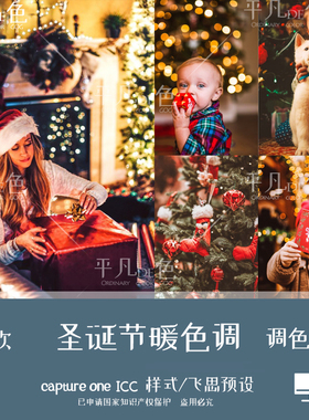 captureone样式 温馨暖色调冬季圣诞节调色滤镜 C1飞思预设CO693