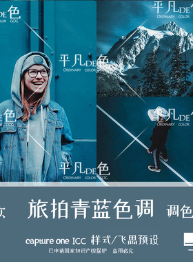 capture one样式风景海边旅拍青蓝色人像调色滤镜c1飞思预设CO800