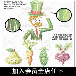 AI矢量画笔刷笔触 手绘彩色铅笔彩铅素描绘画插画Illustrator素材