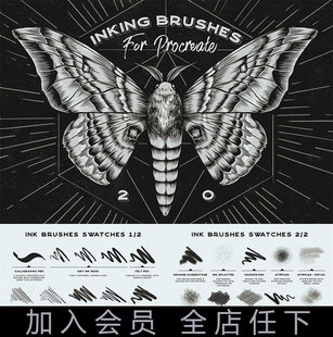 Procreate笔刷 20款手绘水墨画笔插图草图绘画IPAD大师级画板343