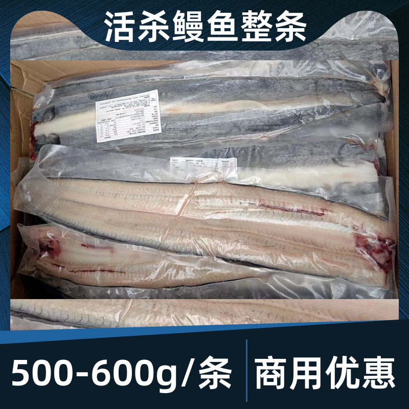 活鳗片整箱10kg商用生鳗鱼不包冰去头去内脏冷冻碳烤蒲烧半成品