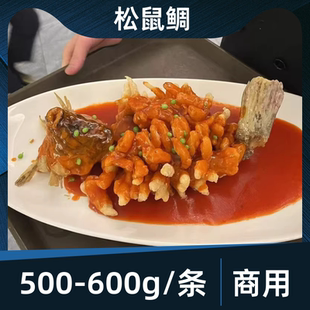 松鼠鲷半成品未调味冷冻整箱酒席商用预制菜新鲜罗非鱼通威松鼠鱼