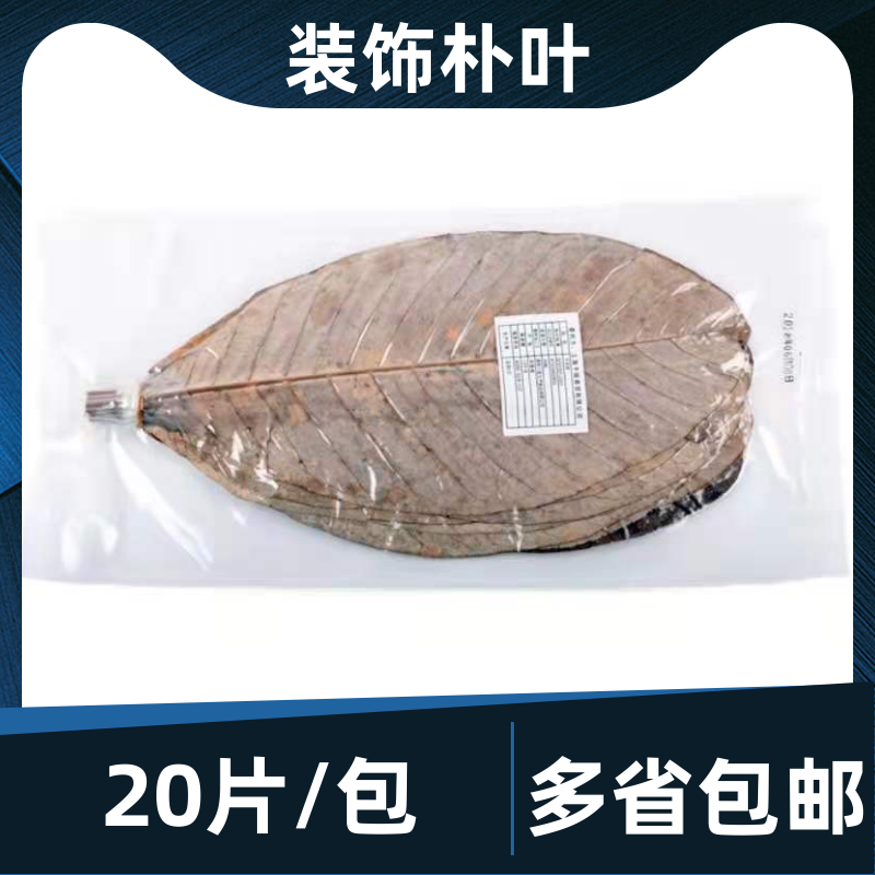 干朴叶20片蒲叶寿司造型烧烤摆盘日式意境装饰烤肉垫纸丹麦叶包邮