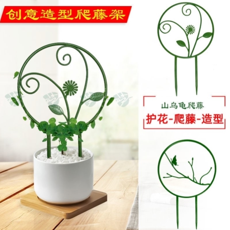 2025新款植物支撑架乌龟铁线莲绿萝藤蔓植物爬藤架花支架阳台花架