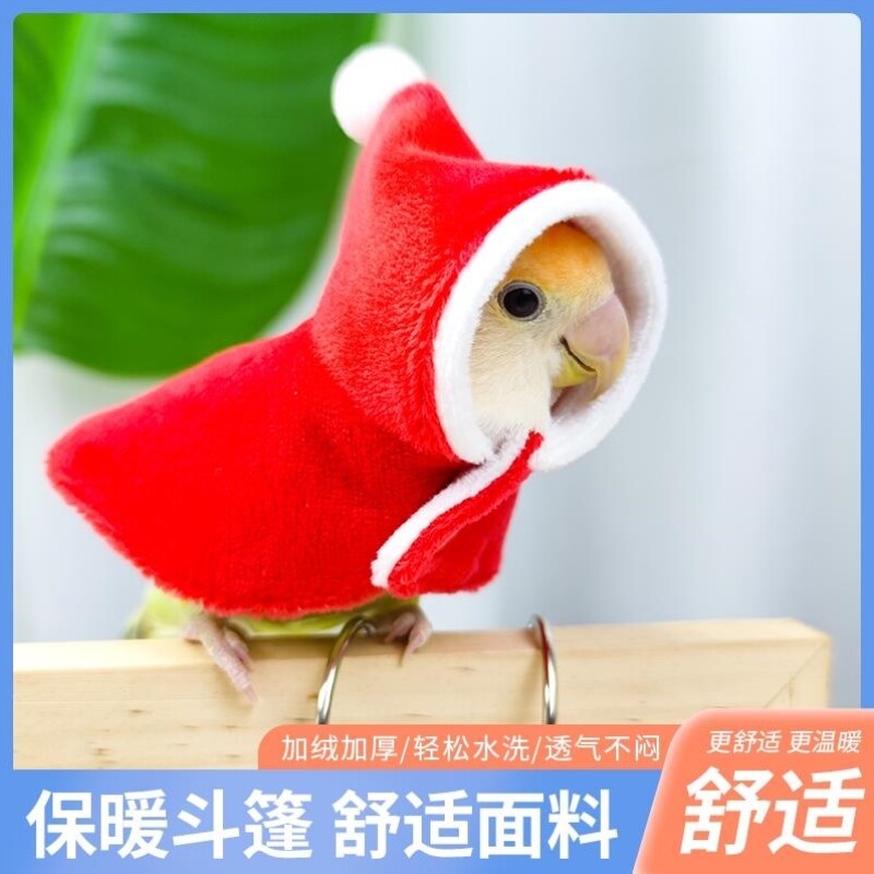 鹦鹦鹉外出斗篷保暖披风小红帽鸟衣服丹玄风外出外套外出服圣诞节