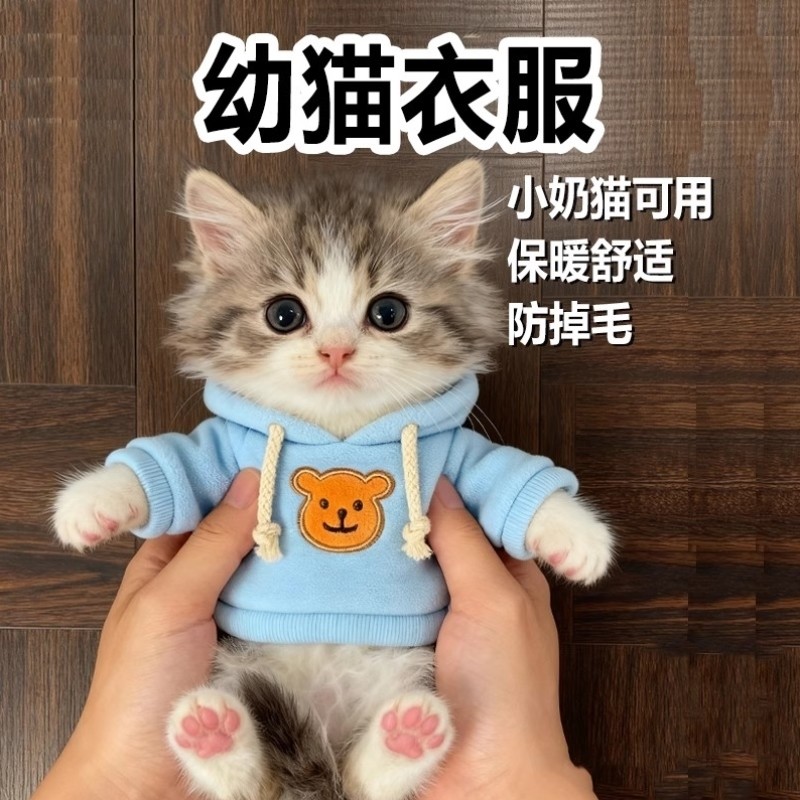 幼猫衣服特小超小一斤内秋冬天一个月小猫咪穿的保暖服饰宠物用品,宠物/宠物食品及用品,狗宠物服装/雨衣,淘宝优惠券,粉丝福利购,淘宝优惠卷