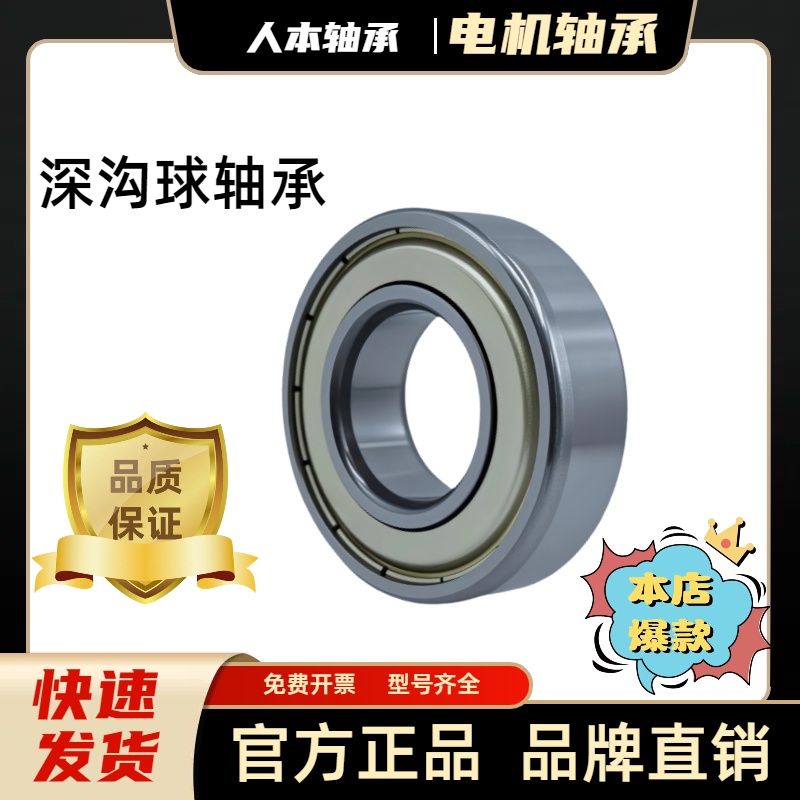 人本6205轴承6201高速6202大全6203 62046206电机6306 6308ZZ