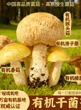 天锦有机香菇东北特产小朵肉厚