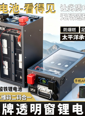 透明甄牌房车磷酸铁锂电池12V24V48光伏储能电池床车改装户外电源