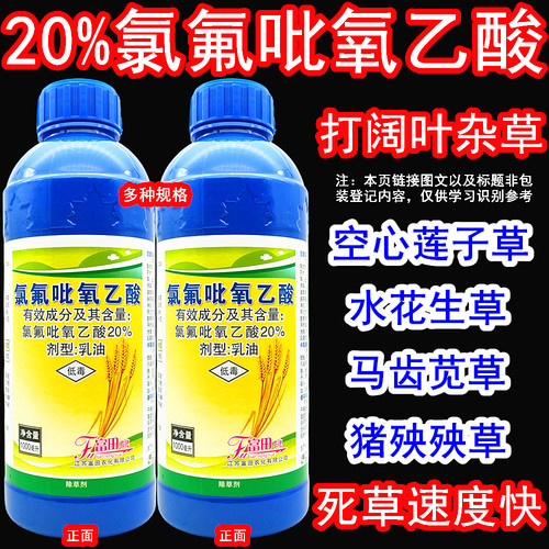 阔爽氯氟吡氧乙酸阔叶杂草除草剂