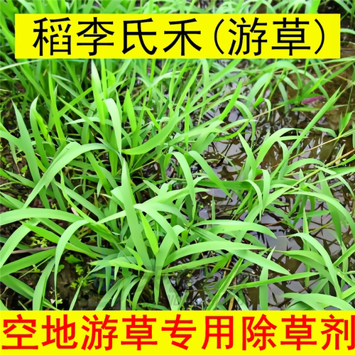 耕地游草牛筋草专用烂根除草剂