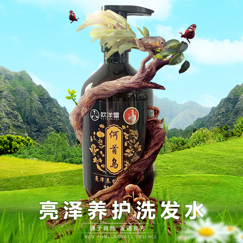 歐洋雪首烏亮澤養(yǎng)護(hù)洗發(fā)水 斷發(fā)密黑強(qiáng)根健發(fā)控油柔順亮澤洗發(fā)露