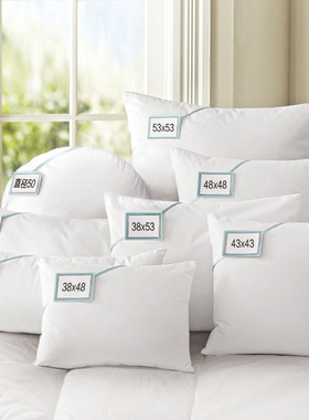 抱枕芯内胆羽丝绒棉布套靠垫芯30 35 45 50 60圆形长方形圆柱枕芯