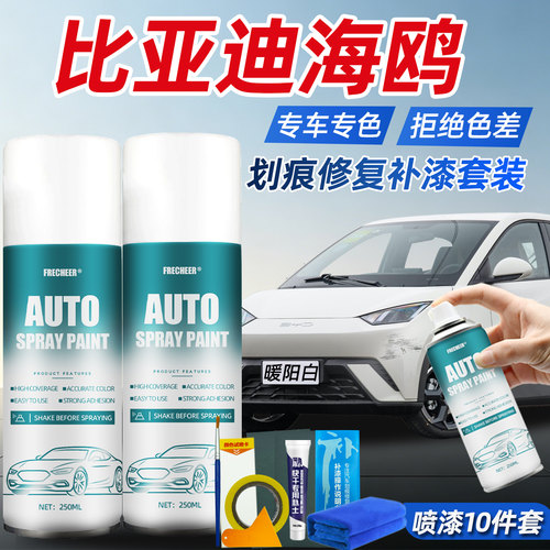 【专车专色】FRECHEER汽车自喷漆