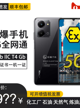 荣耀Play7T 6000mAh 5G防爆定制版手机 EX化工厂医药工业石油天然气专用 防爆定制版（带证书）