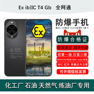 华为nova 有线 5500mAh电池 NFC红外单频北斗卫星定制防爆EX化工厂工业油库 直屏6.7英寸 Huawei