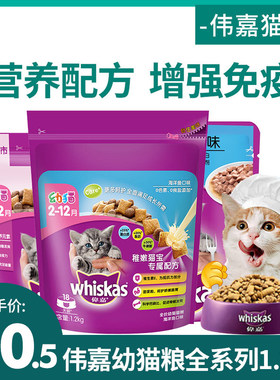 伟嘉鱼肉英短幼猫包邮
