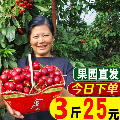 山东大樱桃车厘子新鲜水果包邮5斤国产烟台美早先锋j孕妇整箱当季