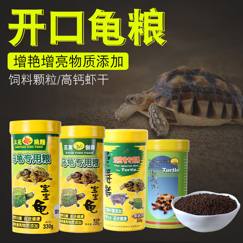 下沉宝宝龟粮水龟陆龟图片