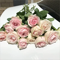 Розовая снежная гора 8 филиалов + 2 ветви (предотвращение потери) дают свежий консервант