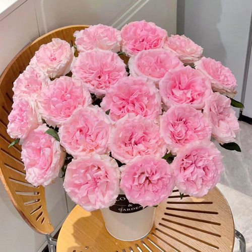 洛神玫瑰花鲜花花束云南基地直发速递同城教师节礼物水养客厅装饰