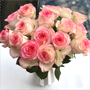 鲜花云南基地直发玫瑰花花束速递同城艾莎家用生日水养教师节礼物