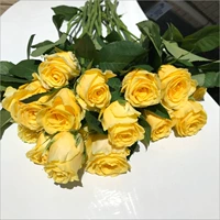 Золотые ветви и нефриты листья 8 ветвей + 2 ветви (предотвращающие потери) дают свежий агент