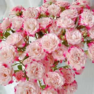 折射多头小玫瑰泡泡云南直发鲜花花束速递同城橙色芭比情人节礼物